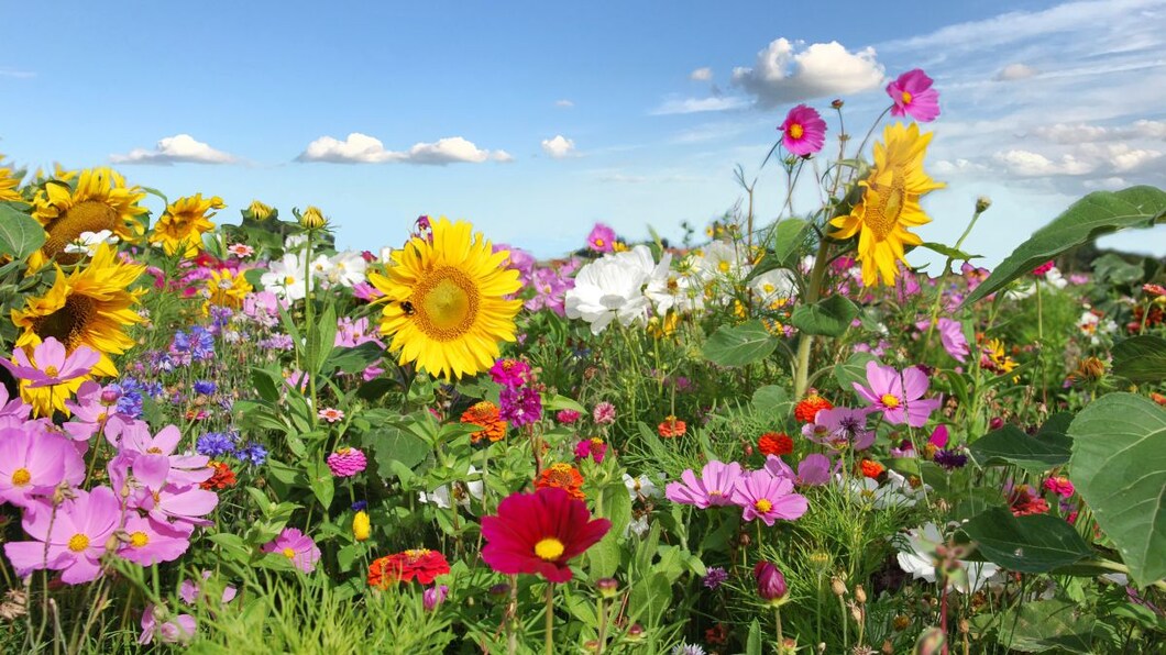 Bloemenhoudenvanmensen