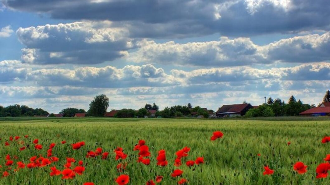 Schone lucht, water en bodem