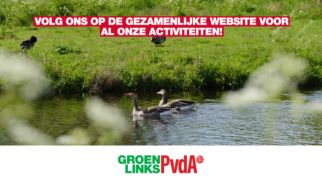 2 eenden in een sloot